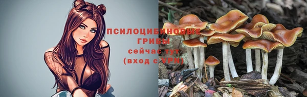 круглые Переславль-Залесский