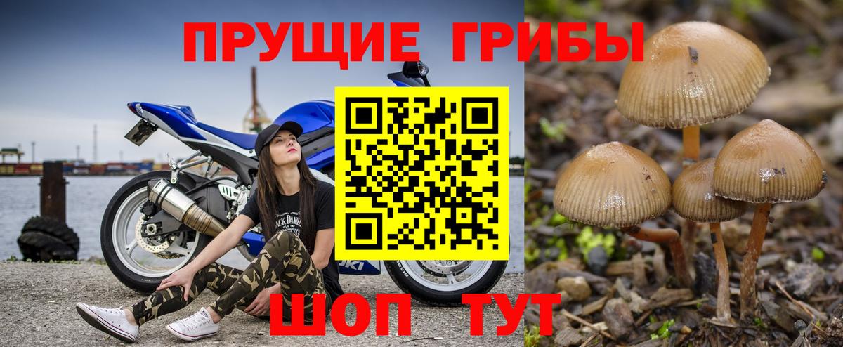 Галлюциногенные грибы Cubensis Азов