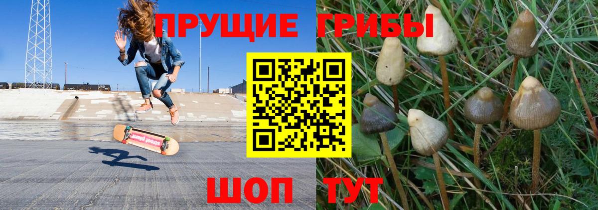 Псилоцибиновые грибы ЛСД Азов
