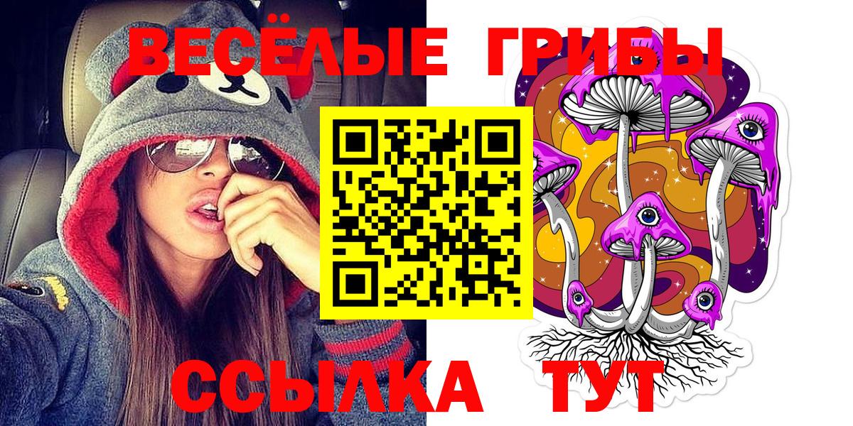Азов  Галлюциногенные грибы прущие грибы  Вход с VPN 