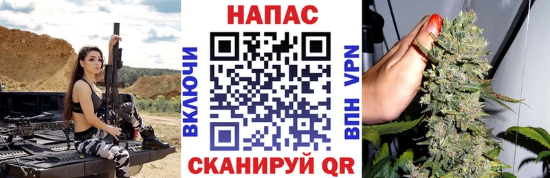 где можно купить   Азов  hydra зеркало  Шишки марихуана ГИДРОПОН 